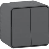 Double interrupteur va et vient IP55 - Mureva - Schneider