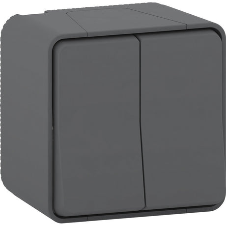 Double interrupteur va et vient IP55 - Mureva - Schneider