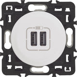 Double chargeur USB Type A 3A 15W à composer Céliane - Legrand