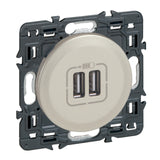 Double chargeur USB Type A 3A 15W à composer Céliane - Legrand