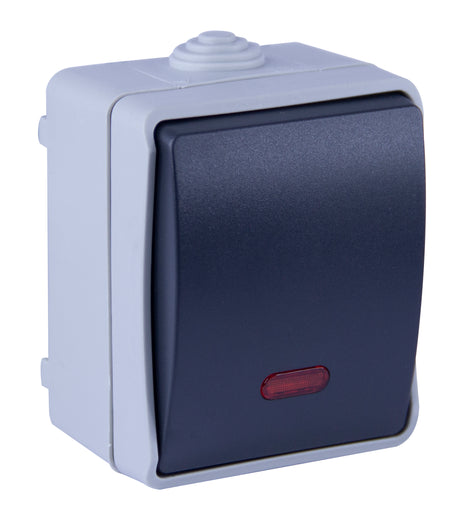 Va et vient avec voyant en saillie Aquatop IP54 - Gris et Blanc - Dio