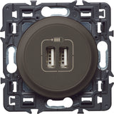 Double chargeur USB Type A 3A 15W à composer Céliane - Legrand