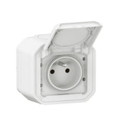 Prise Plexo Legrand