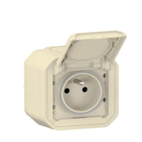 Prise Plexo Legrand