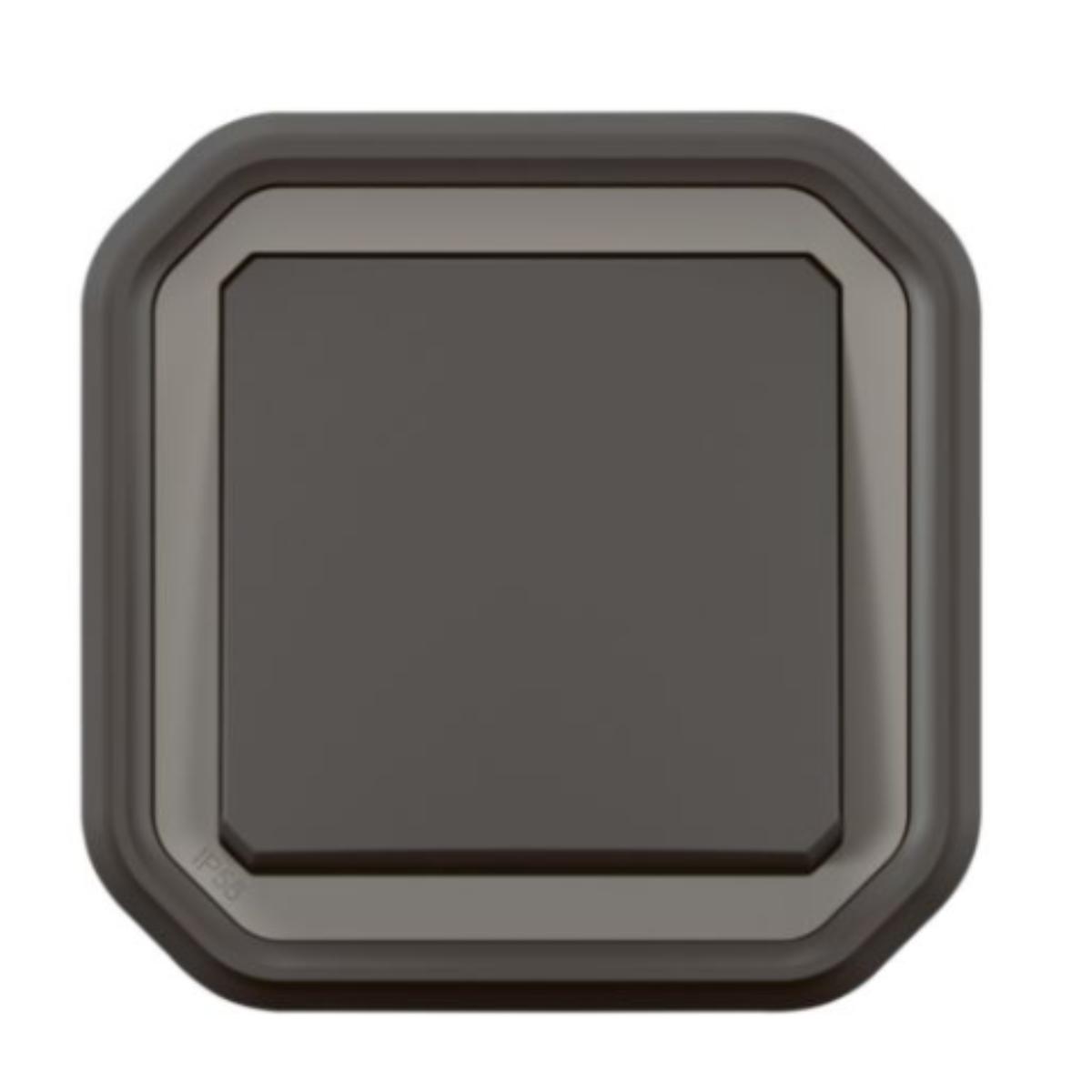 Interrupteur va-et-vient encastré Plexo 10AX IP55 - Legrand