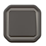 Interrupteur va-et-vient encastré Plexo 10AX IP55 - Legrand