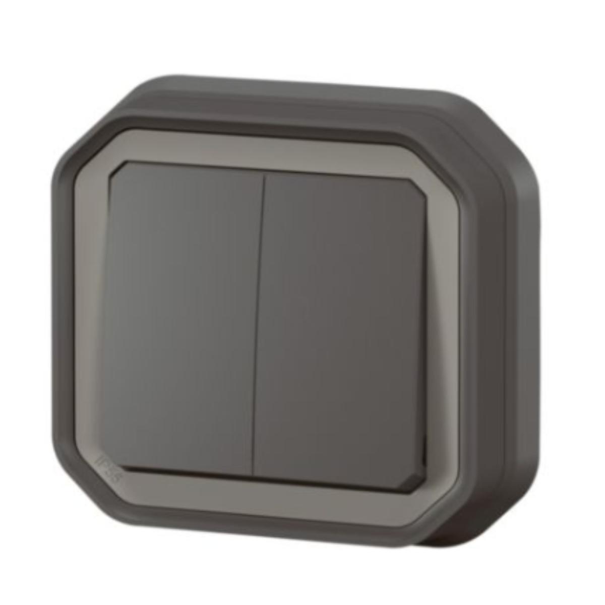 Double interrupteur IP55 Plexo encastré - Legrand