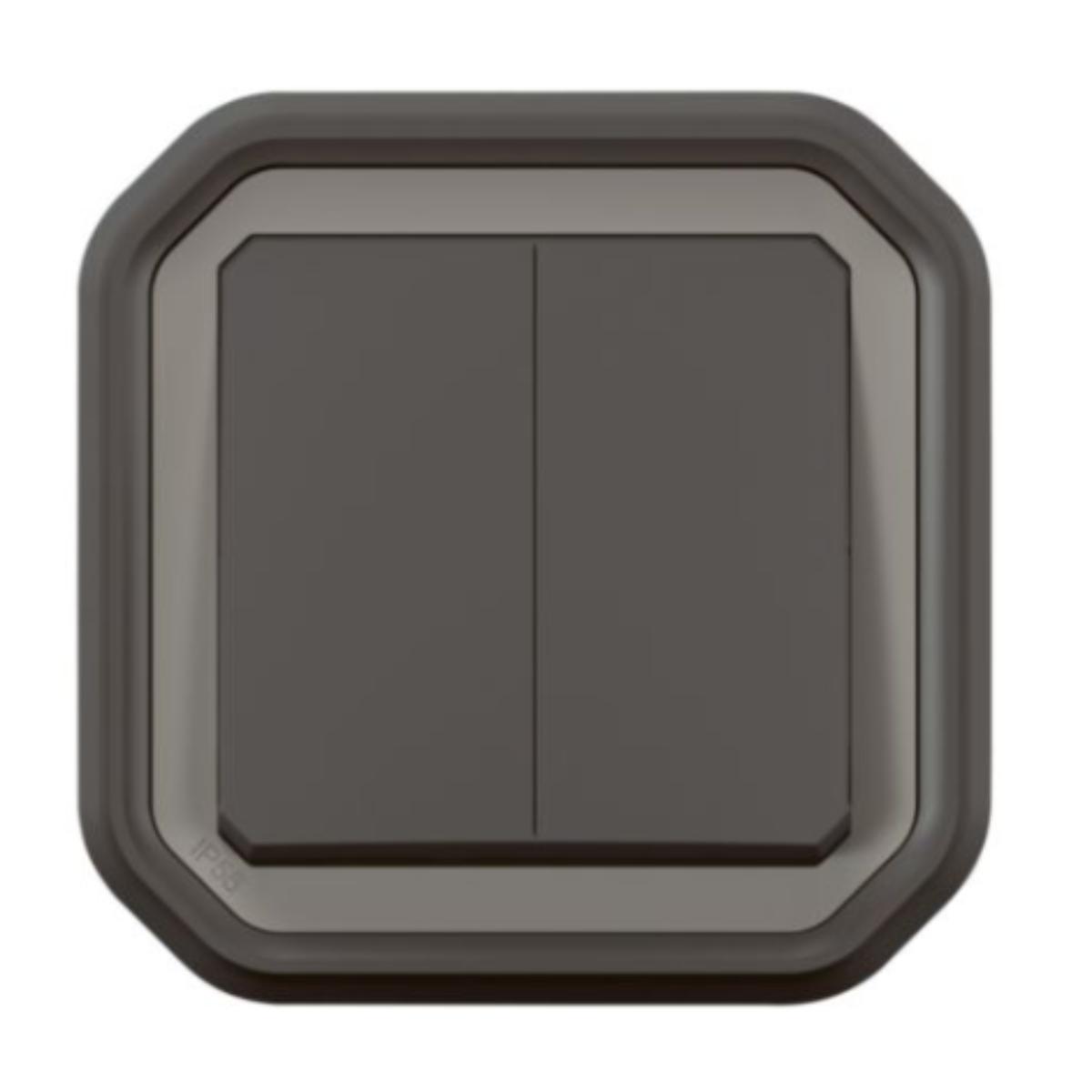 Double interrupteur IP55 Plexo encastré - Legrand