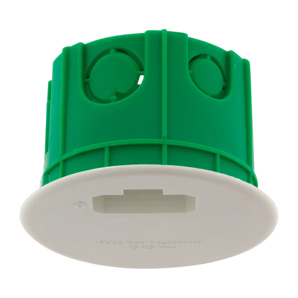 Boîte DCL point de centre murs pleins Ø65mm Vert - Blm