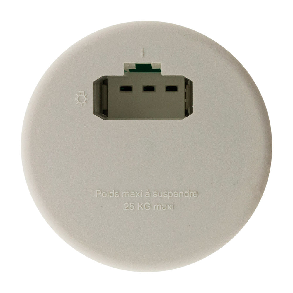 Boîte DCL point de centre murs pleins Ø65mm Vert - Blm