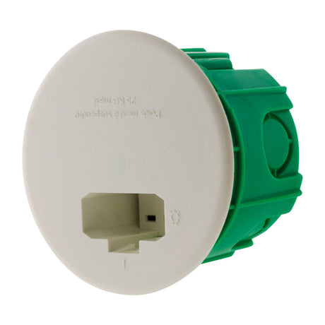 Boîte DCL point de centre murs pleins Ø65mm Vert - Blm