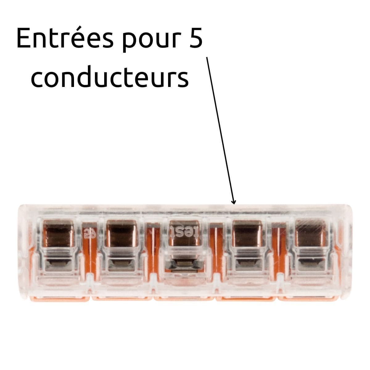 Borne de raccordement S221 - 2/3/5 conducteurs leviers 4mm² - Wago