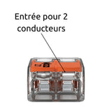 Borne de raccordement S221 Compact - 2/5 entrées - Wago