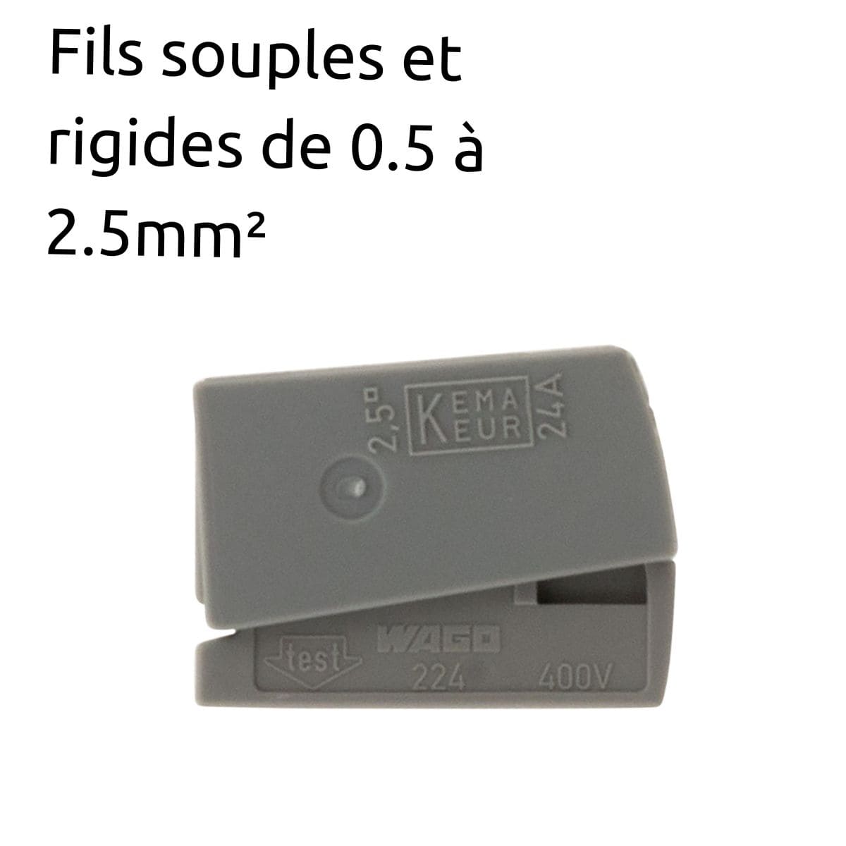 Lot de 6 bornes de service pour luminaires S224 - Conducteurs rigides 2.5mm² max - connecteurs rapides - gris - Wago