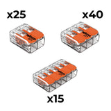 Lot bornes 2/3/5 entrées 221 Wago