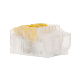 Boite bornes 2/3/5 entrées BLM 475 - Wago