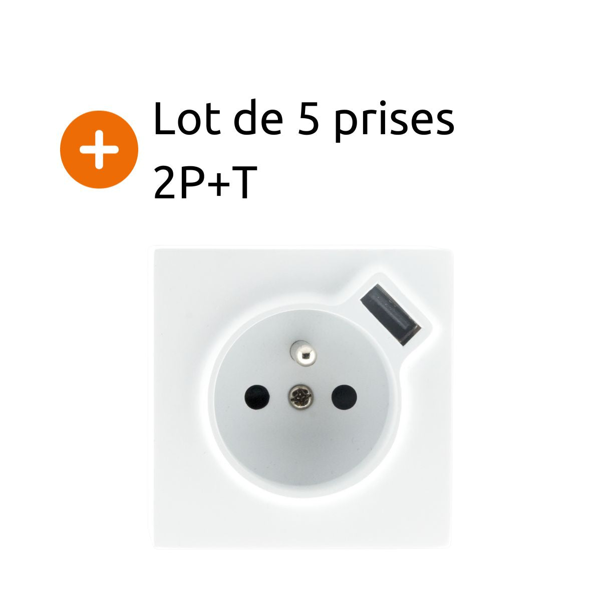 Lot de 5 Prises 2P+T + USB 2.4A en saillie blanc RAL 9010