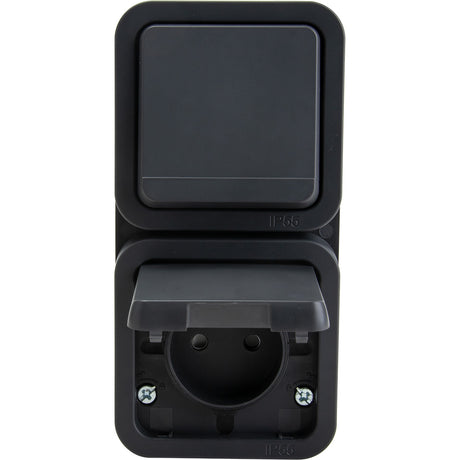 Prise type E IP55 - 2P+T 16A + va et vient - bornes auto - saillie - gamme Granite - Protec