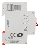 Disjoncteur à vis PH+N - NF - Pouvoir de coupure 4.5KA - Thomson