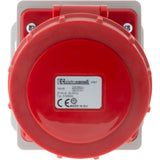 Socle IEC309 3P+N+T - Zenitech