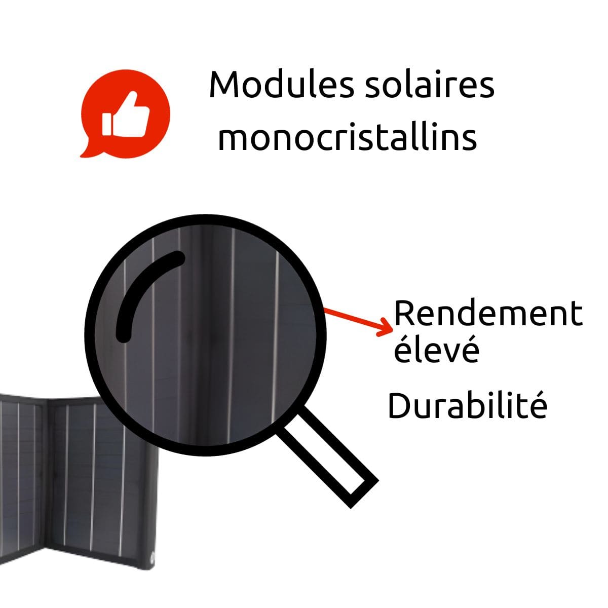 Panneau solaire portatif pliable SolarTec 60 - 60W 18V 3.3A - 6 pans monocristallins - Port USB A/C - Câble DC - Protec