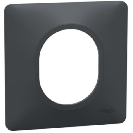 Plaque finition 1 poste - Ovalis - Schneider