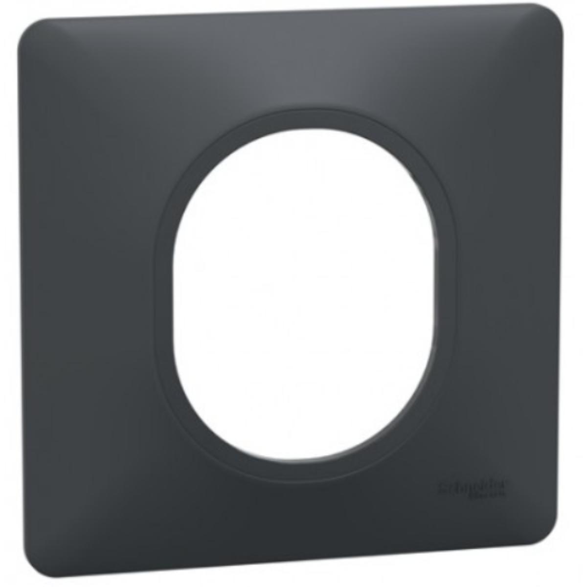 Plaque finition 1 poste - Ovalis - Schneider