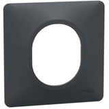 Plaque finition 1 poste - Ovalis - Schneider