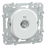 Prise TV simple encastrée Ovalis - Schneider