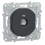 Prise TV simple encastrée Ovalis - Schneider