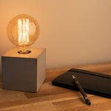 Ampoule filament carbone Globe E27 - Elexity