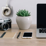 Prise BEWATT + chargeur USB - Watt and Co