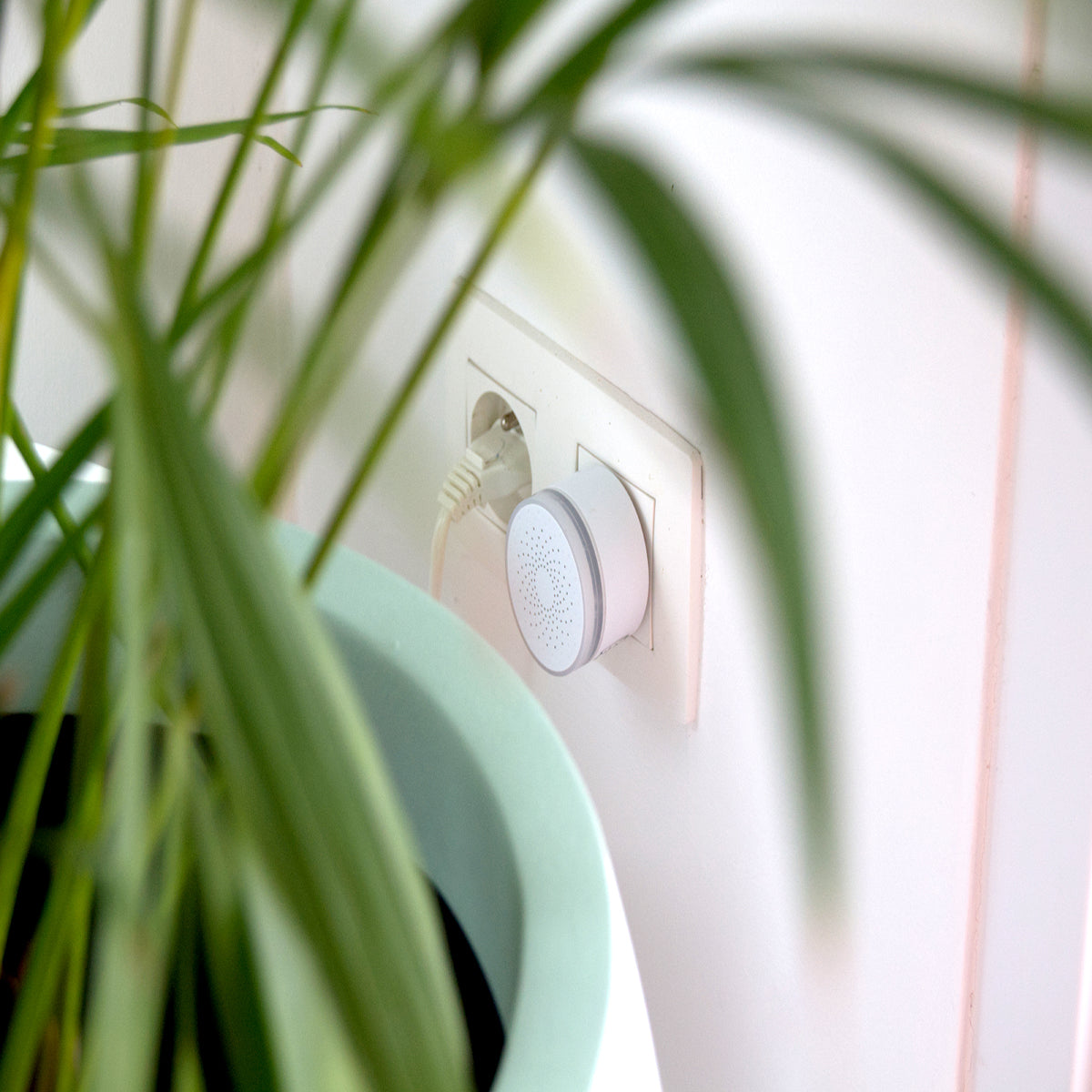 Carillon design sans fil enfichable 150m - Chacon