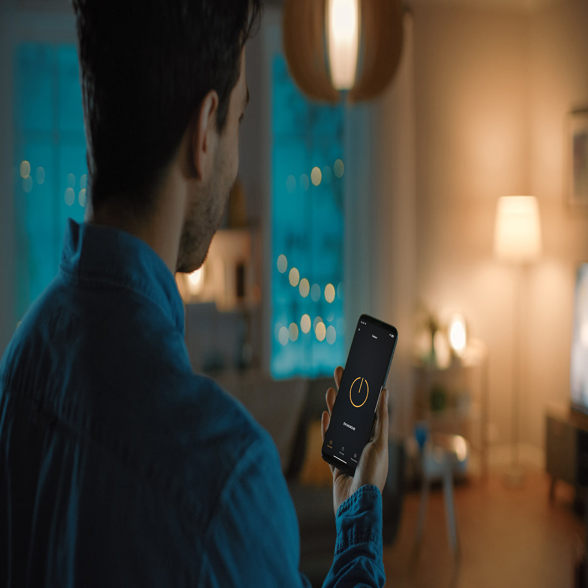 Set module éclairage connecté On/Off + interrupteur - Chacon