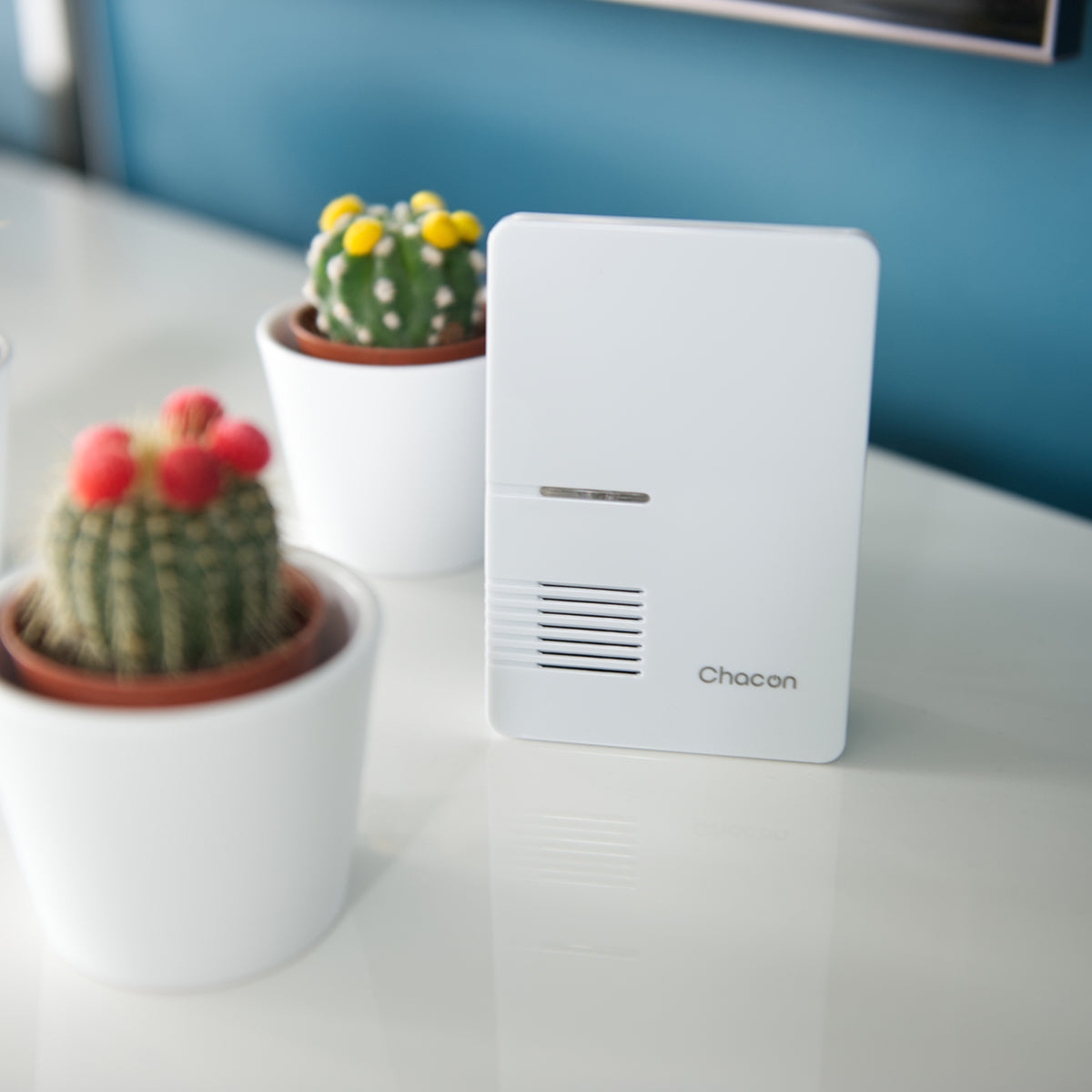 Carillon sans fil + 2 boutons poussoirs - Chacon