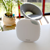 Carillon sans fil sur batterie 300m - Chacon