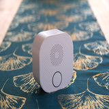 Récepteur carillon design sans fil sur batterie 150m - Chacon