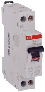 Disjoncteur modulaire PH+N 3KA à vis Type AC - ABB