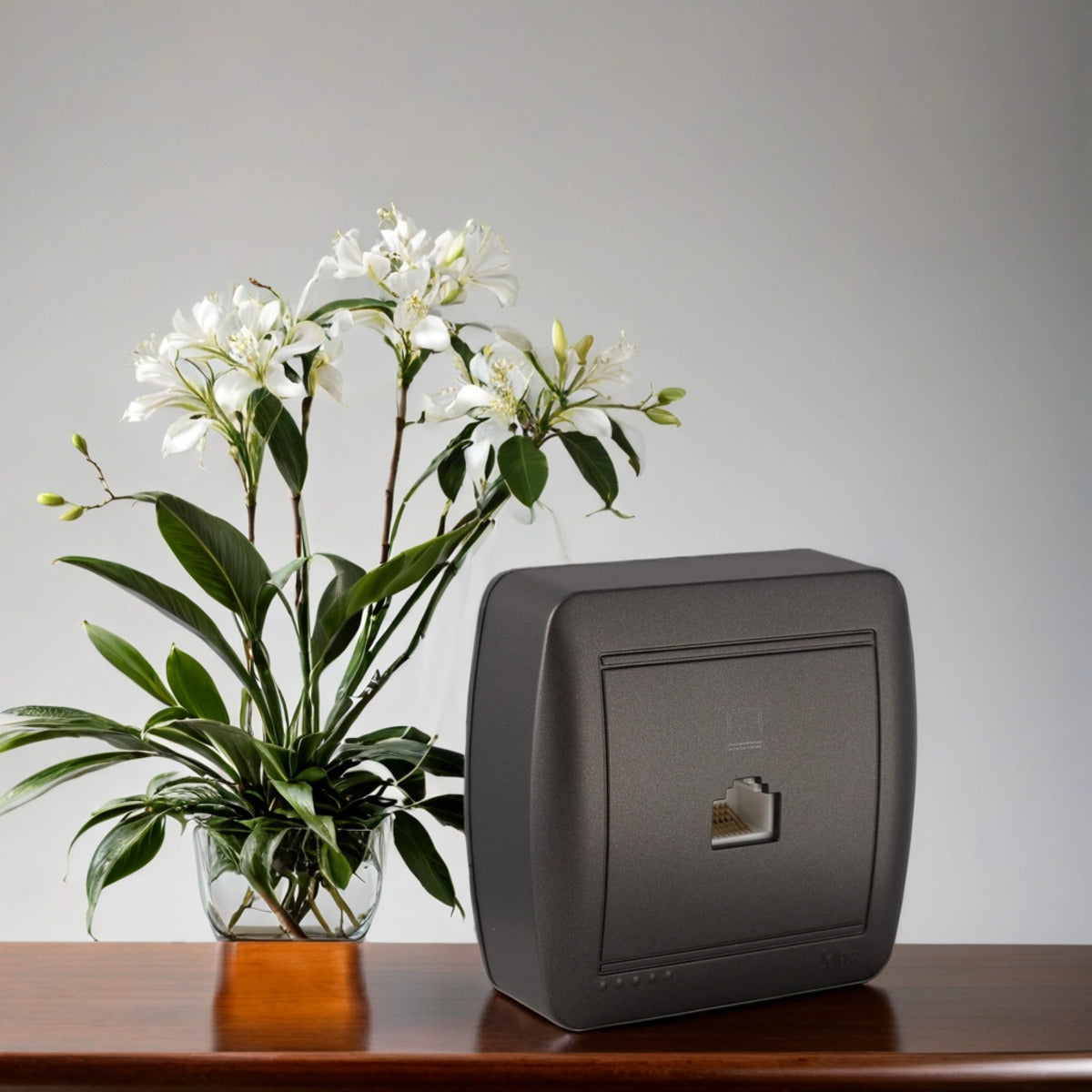 Prise RJ45 Cat 5 en saillie - Noir graphite - Solera