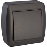 Interrupteur 2 pôles en saillie - Noir graphite - Solera