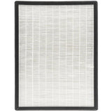 Cartouche filtre HEPA13 déshumidificateur BRI629050 - Britec